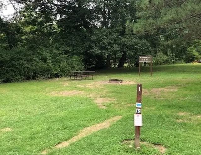 Site 201 at Outflow Recreation Area (PA)