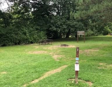 Site 201 at Outflow Recreation Area (PA)