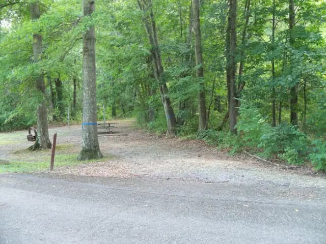Aspen 44