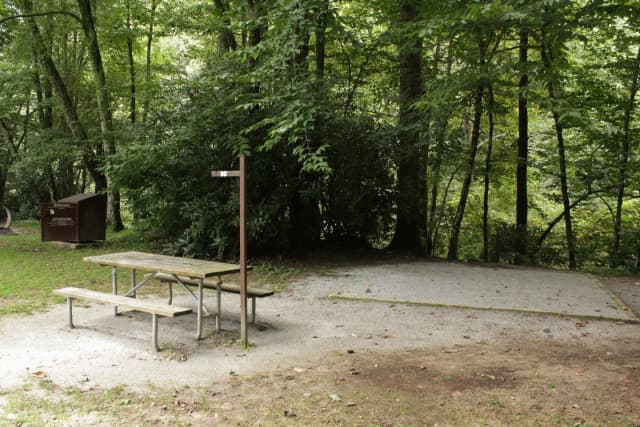 A Loop Site 16 - Tent Nonelectric