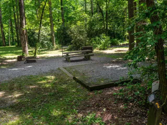 Site 2 includes a picnic table, fire ring, and bear box.