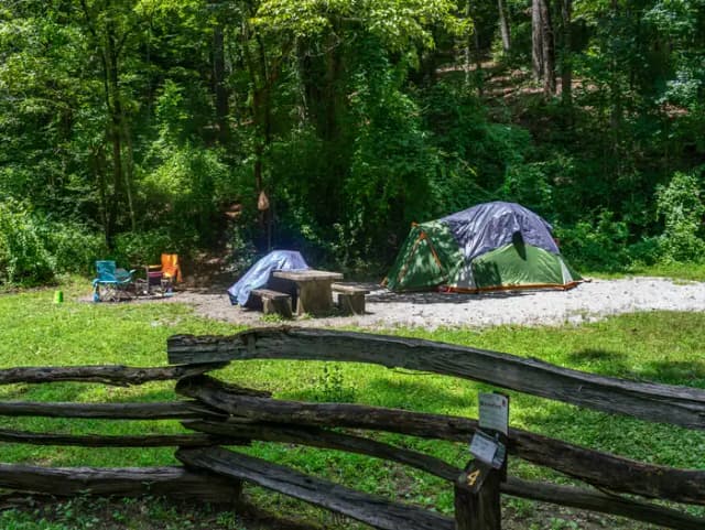 North Mills Site 4. Photo shows tent set up, near picnic table.
