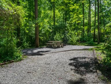 Site 5 at North Mills Campground