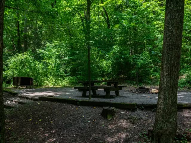 Site 6 at North Mills