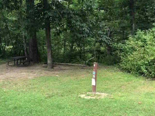 Loop 1 · Site 204 at Outflow Recreation Area (PA)