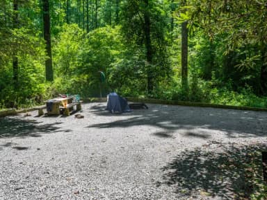 Site 7 at North Mills River.