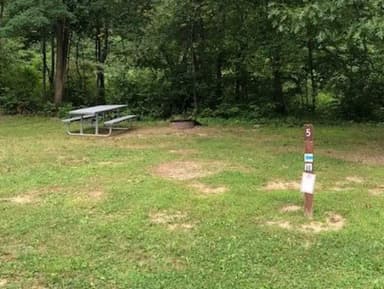 Loop 1 · Site 205 at Outflow Recreation Area (PA)
