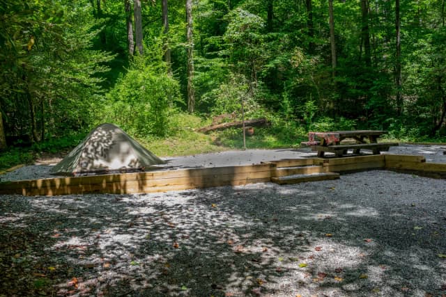Loop NORT · Site 008 at North Mills River