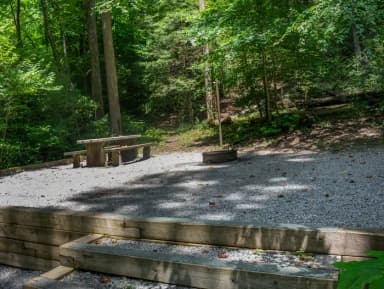Loop NORT · Site 009 at North Mills River