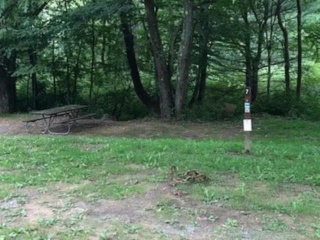 Loop 1 · Site 207 at Outflow Recreation Area (PA)