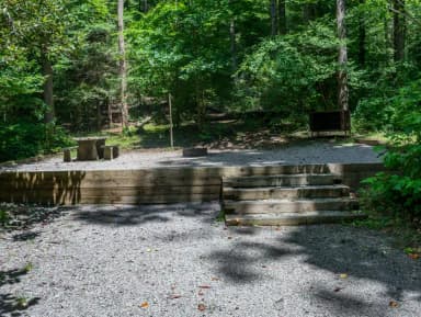 Loop NORT · Site 009 at North Mills River