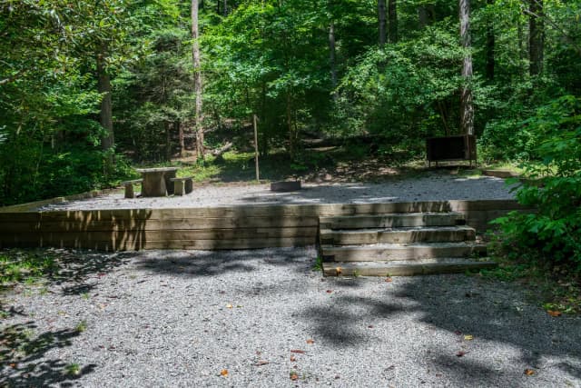 Loop NORT · Site 009 at North Mills River