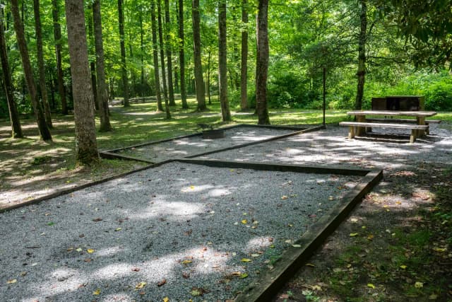 Loop NORT · Site 010 at North Mills River