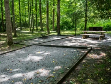 Loop NORT · Site 010 at North Mills River