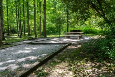 Loop NORT · Site 010 at North Mills River