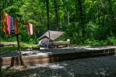 Loop NORT · Site 011 at North Mills River