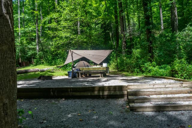 Loop NORT · Site 011 at North Mills River