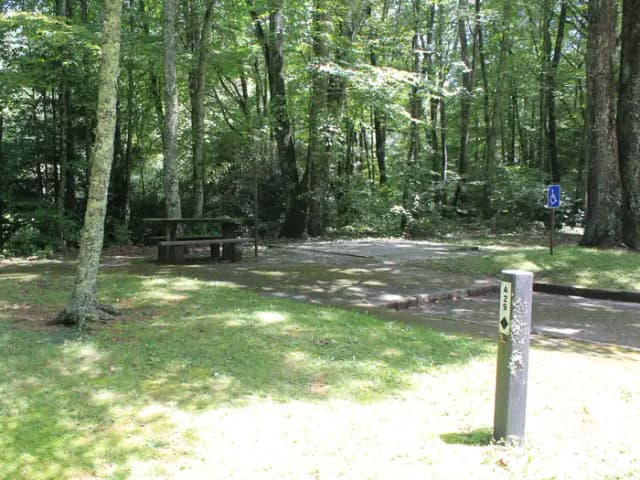 A Loop Site 29 - Standard Nonelectric (Handicap Accessible)