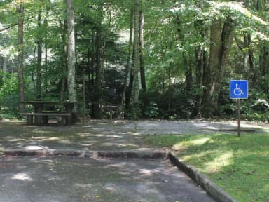 A Loop Site 29 - Standard Nonelectric (Handicap Accessible)
