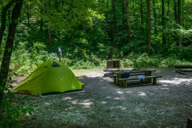 Loop NORT · Site 012 at North Mills River