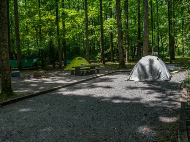 Loop NORT · Site 012 at North Mills River
