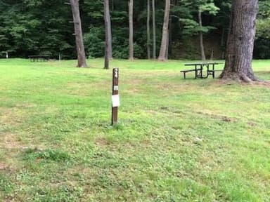 Site 213 at Outflow Recreation Area (PA)