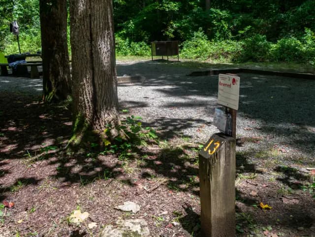 Loop NORT · Site 013 at North Mills River
