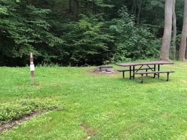 Site 214 at Outflow Recreation Area (PA)