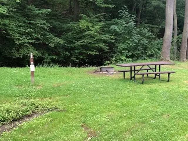 Site 214 at Outflow Recreation Area (PA)
