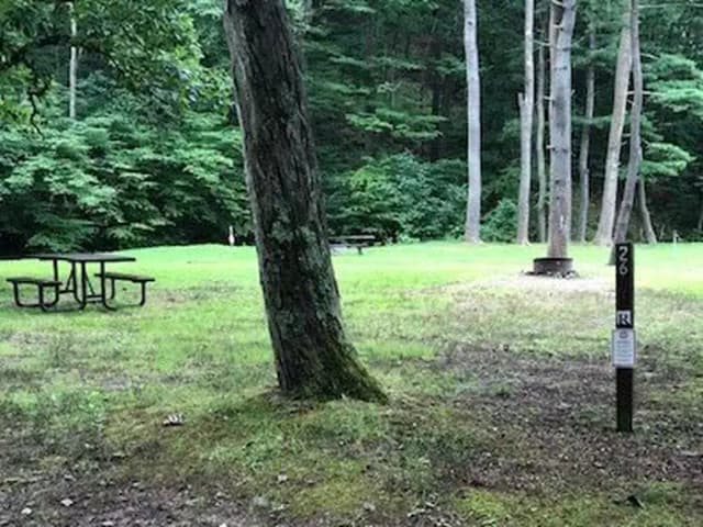 Site 215 at Outflow Recreation Area (PA)