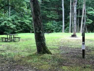 Site 215 at Outflow Recreation Area (PA)