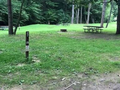 Site 216 at Outflow Recreation Area (PA)