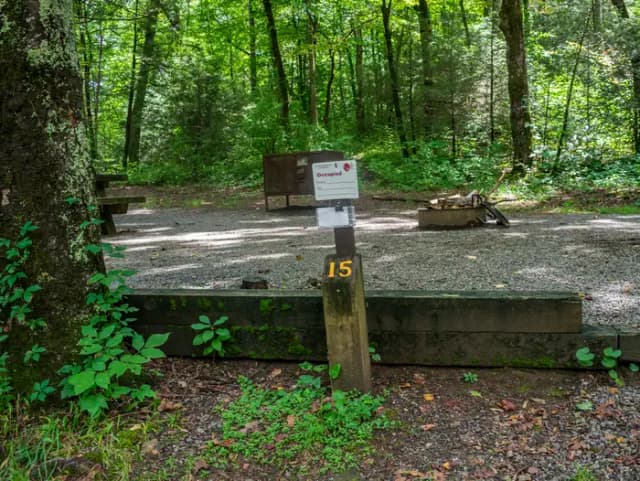 Loop NORT · Site 015 at North Mills River