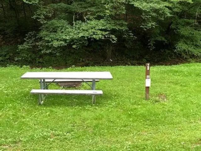 Site 217 at Outflow Recreation Area (PA)