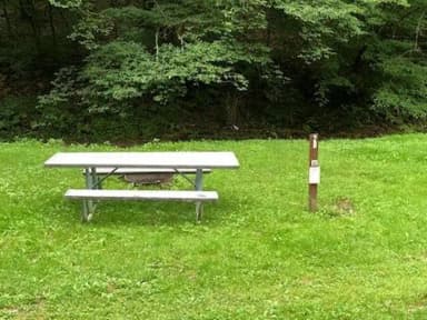 Site 217 at Outflow Recreation Area (PA)