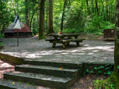 Loop NORT · Site 015 at North Mills River