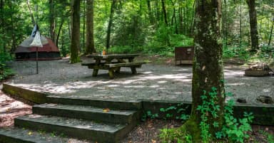 Loop NORT · Site 015 at North Mills River