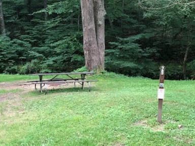 Site 218 at Outflow Recreation Area (PA)