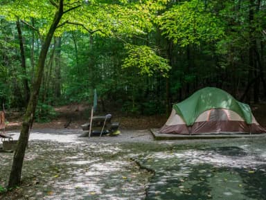 Loop NORT · Site 018 at North Mills River