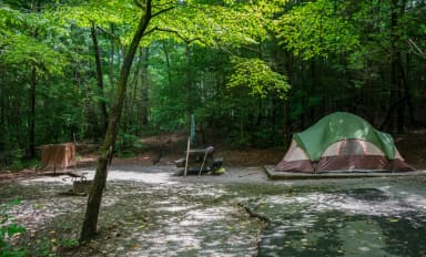 Loop NORT · Site 018 at North Mills River