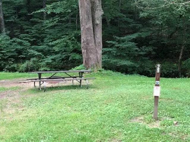 Site 218 at Outflow Recreation Area (PA)