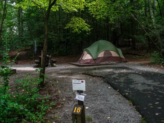 Loop NORT · Site 018 at North Mills River