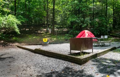 Loop NORT · Site 019 at North Mills River