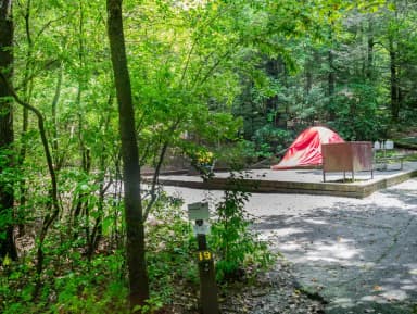 Loop NORT · Site 019 at North Mills River