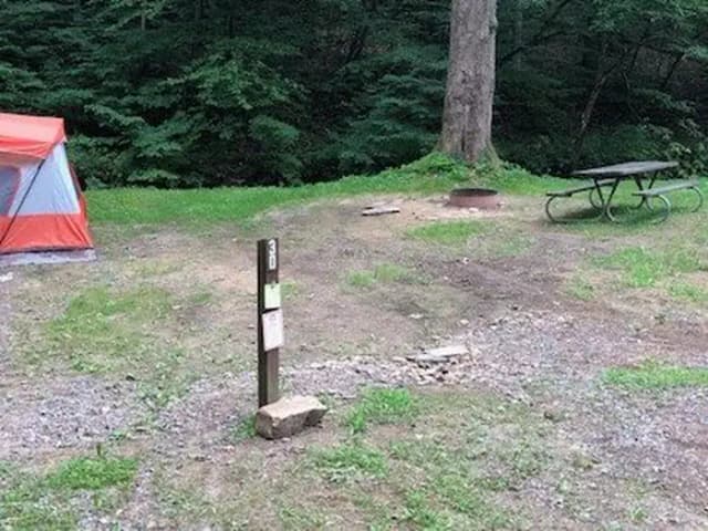 Site 219 at Outflow Recreation Area (PA)