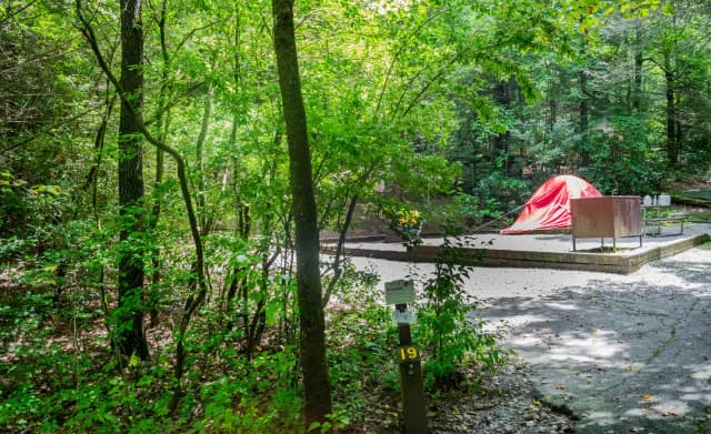 Loop NORT · Site 019 at North Mills River