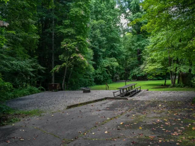 Loop NORT · Site 020 at North Mills River