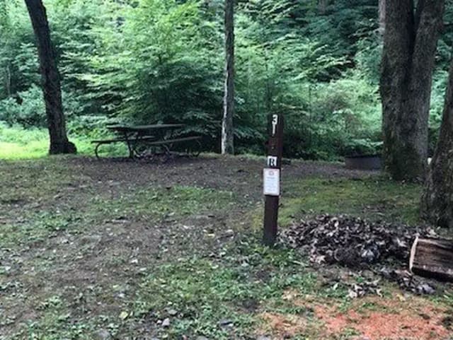 Site 220 at Outflow Recreation Area (PA)