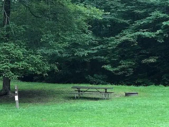 Site 222 at Outflow Recreation Area (PA)