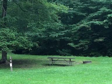 Site 222 at Outflow Recreation Area (PA)